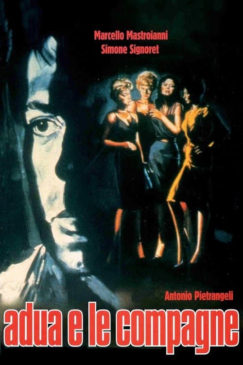 Director's Movie Image