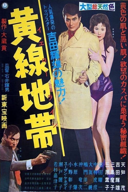 Director's Movie Image
