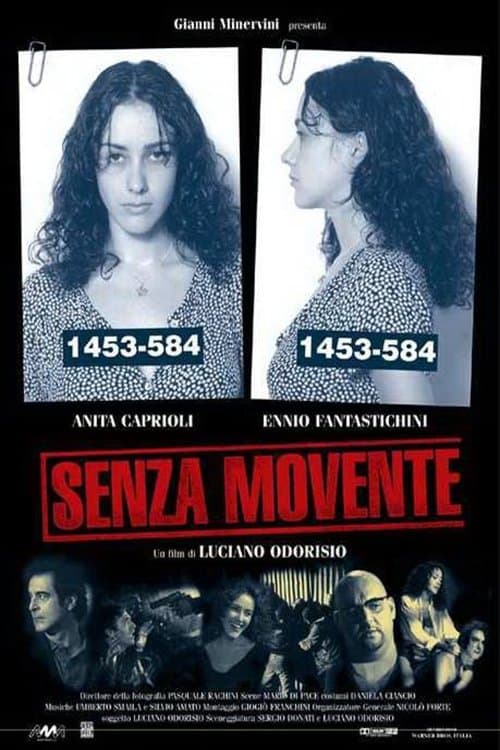 Director's Movie Image