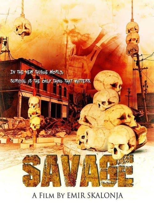 Director's Movie Image