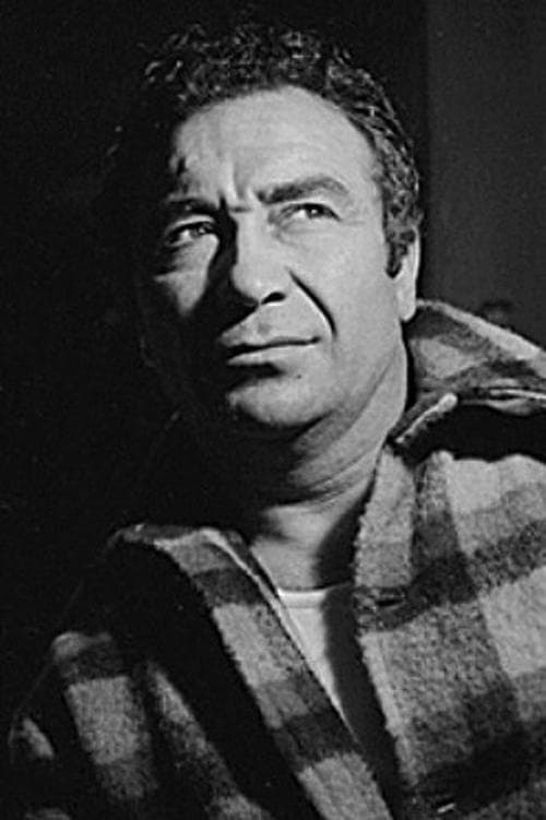 Cast's Movie Image