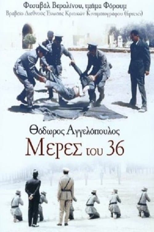 Director's Movie Image