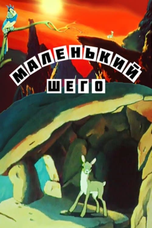 Director's Movie Image