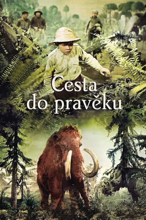 Director's Movie Image