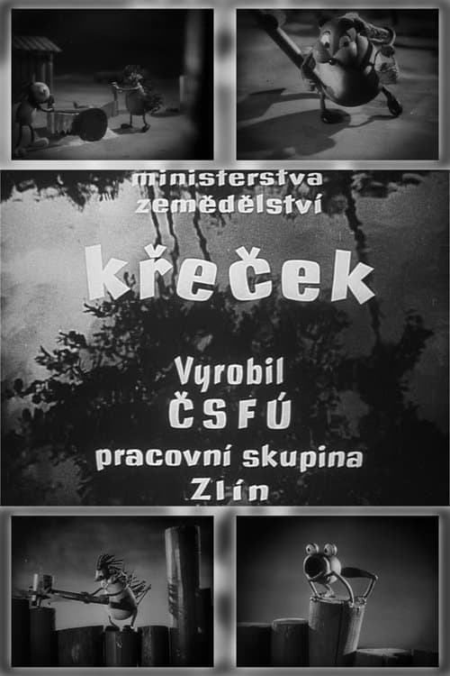 Director's Movie Image