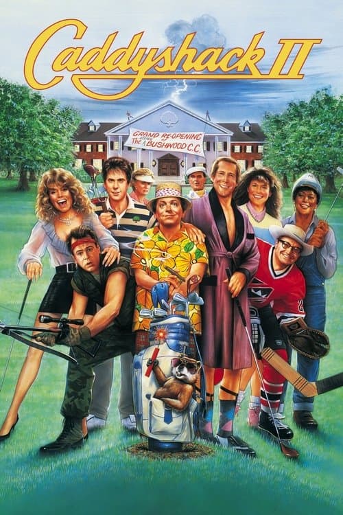 Director's Movie Image