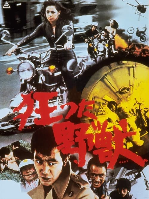 Director's Movie Image