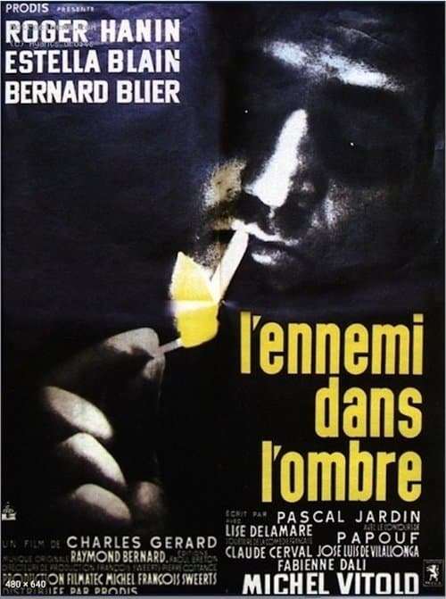 Director's Movie Image