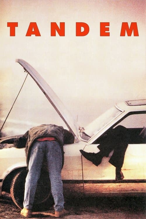 Director's Movie Image