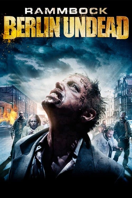 Director's Movie Image