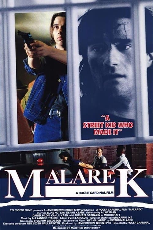 Director's Movie Image