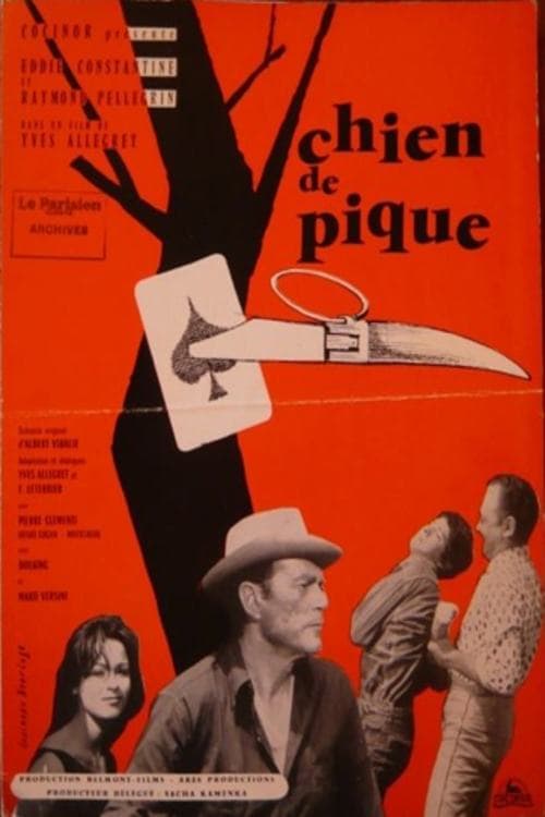 Director's Movie Image
