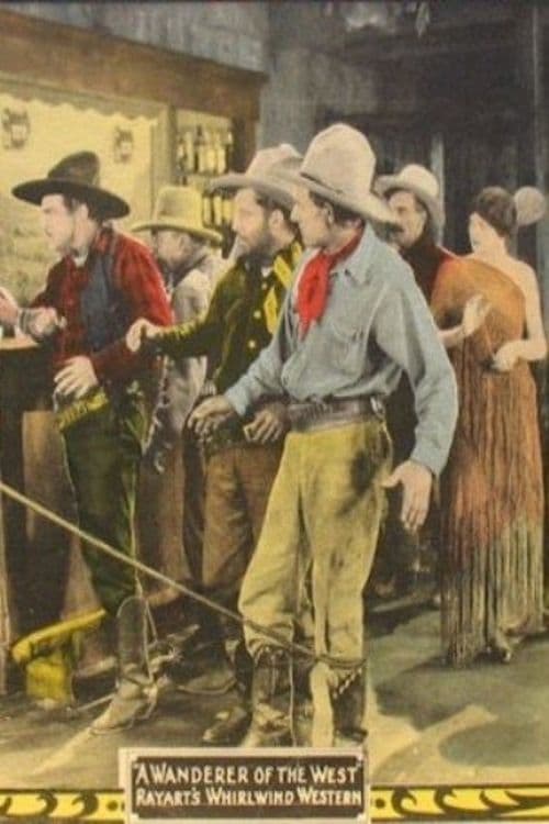 Director's Movie Image