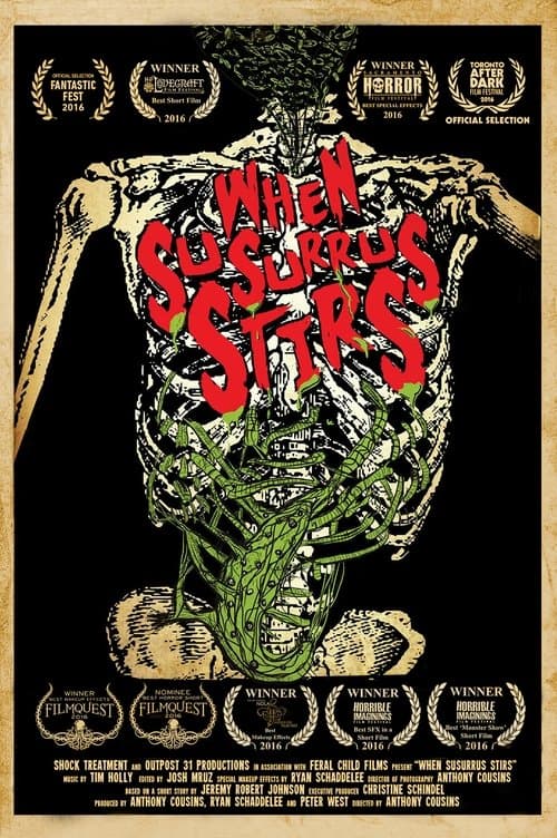 Director's Movie Image