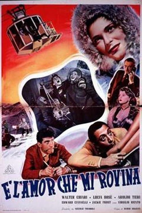 Director's Movie Image