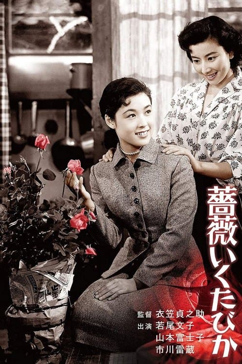 Director's Movie Image