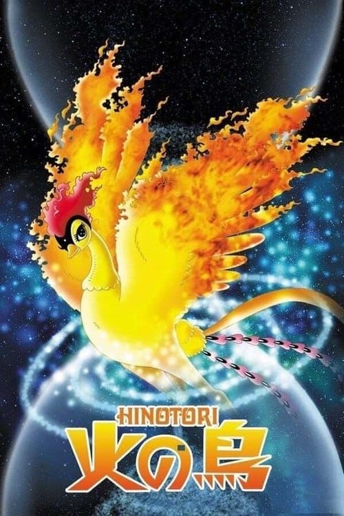 Director's Movie Image