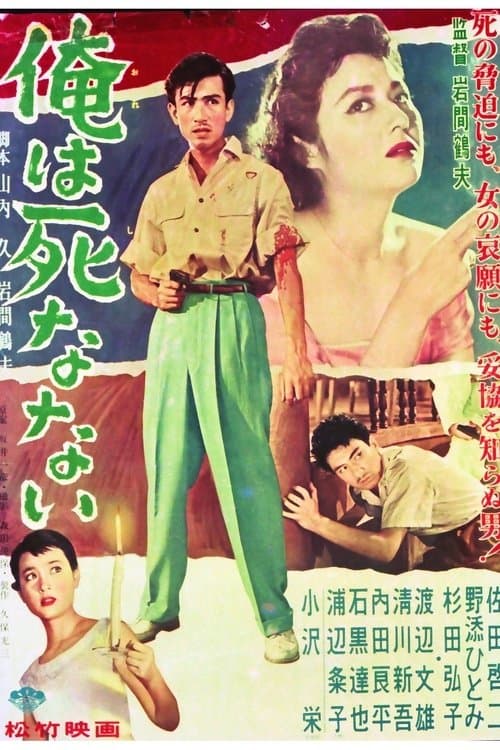 Director's Movie Image