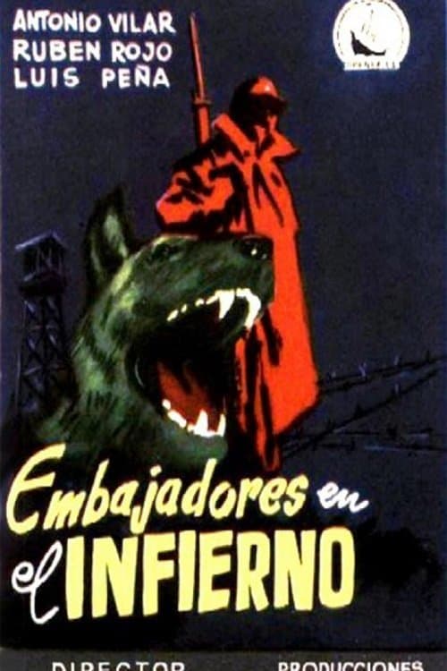 Director's Movie Image