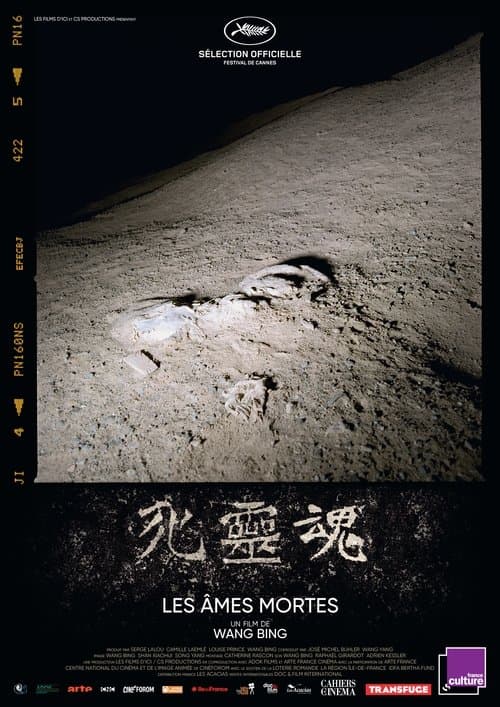 Director's Movie Image