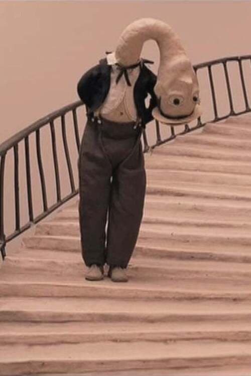 Director's Movie Image