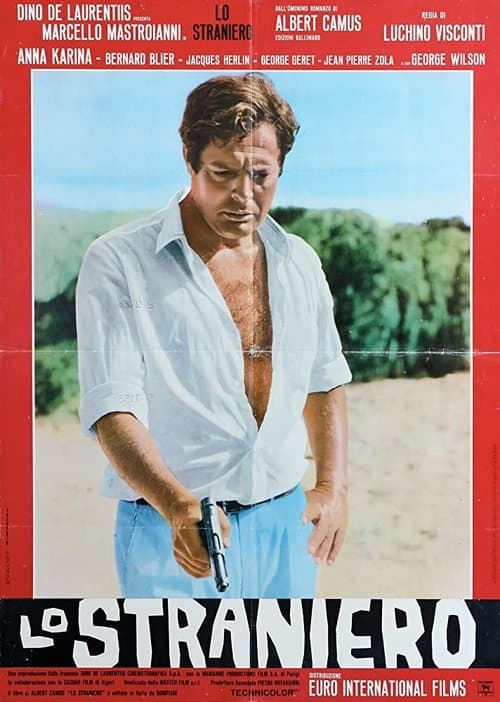 Director's Movie Image