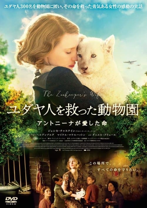 Director's Movie Image