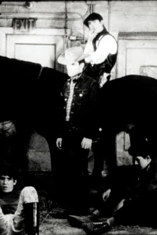 Director's Movie Image