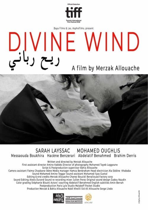 Director's Movie Image