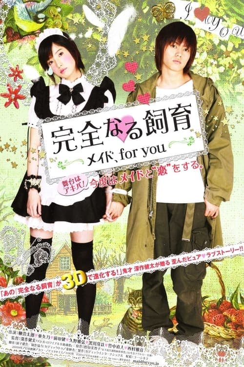Director's Movie Image