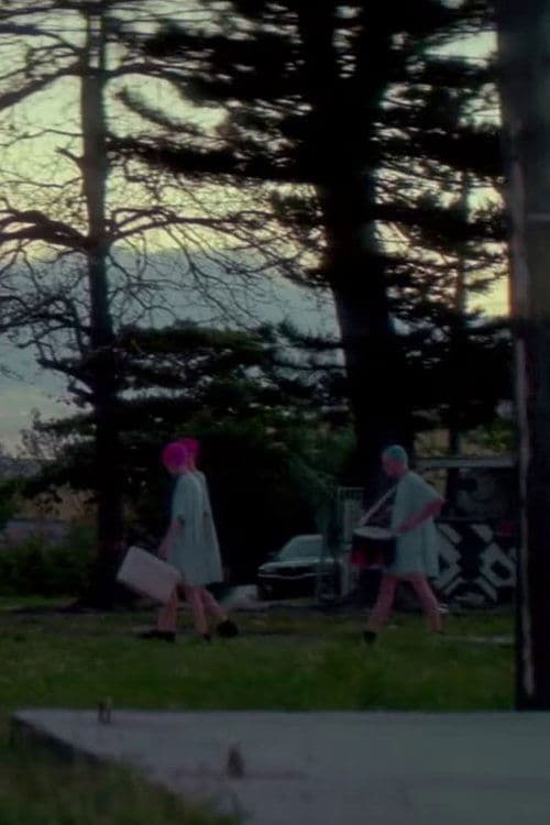 Director's Movie Image