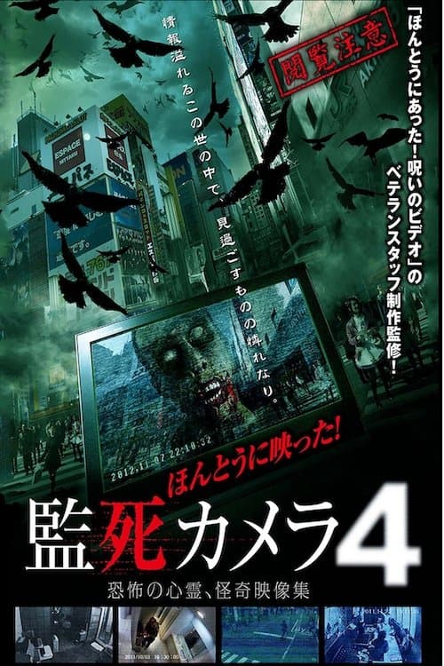 Director's Movie Image