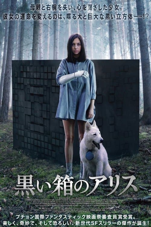 Director's Movie Image