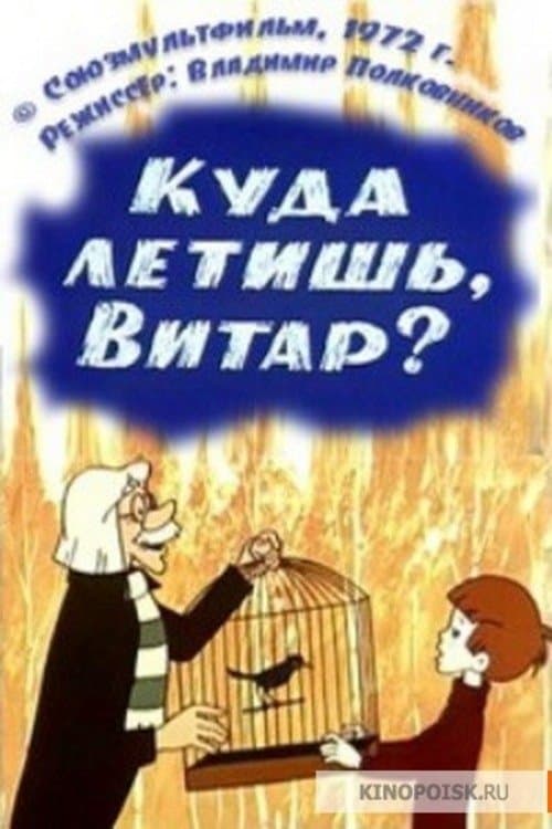 Director's Movie Image