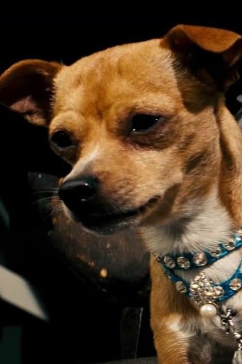 Cast's Movie Image