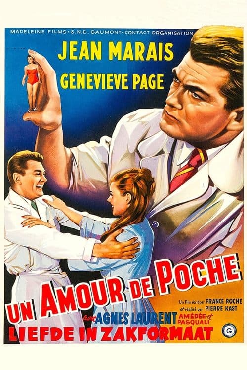 Director's Movie Image