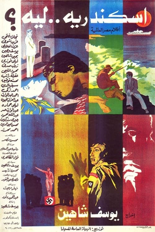 Director's Movie Image