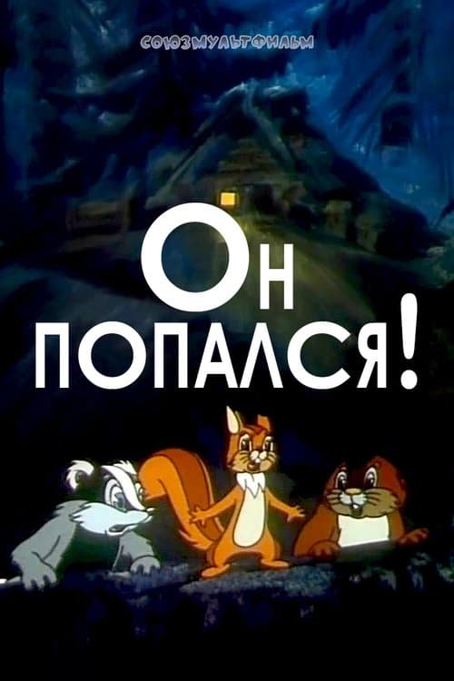 Director's Movie Image