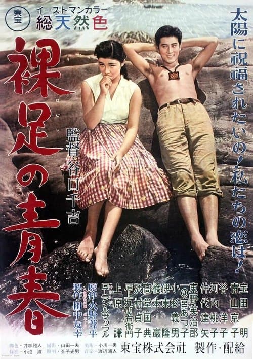 Director's Movie Image