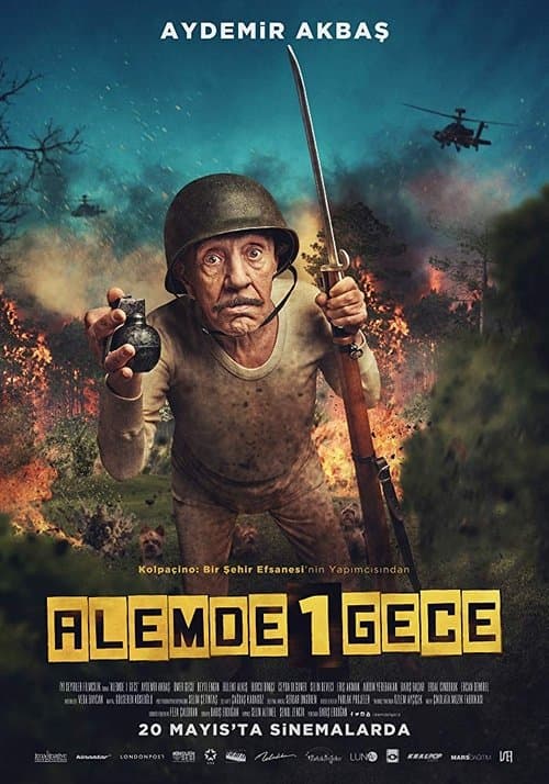 Director's Movie Image
