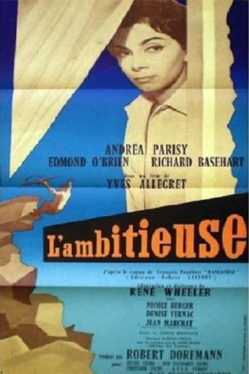 Director's Movie Image