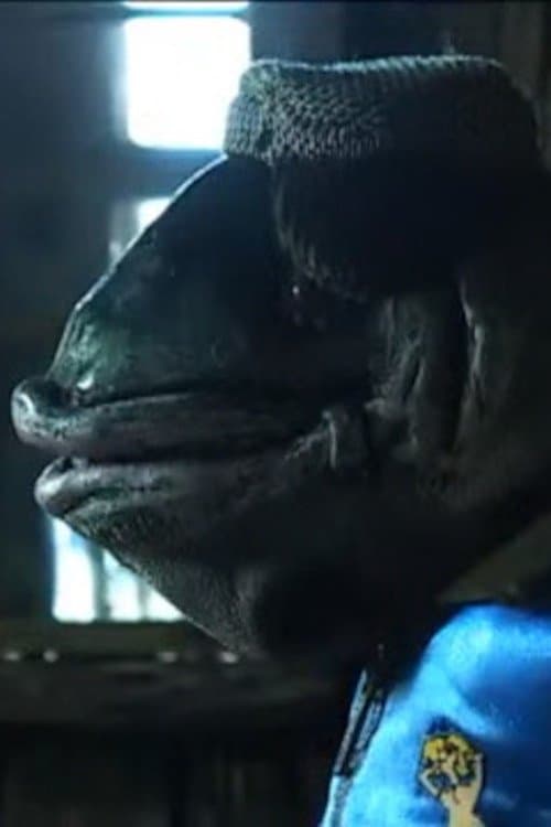 Director's Movie Image