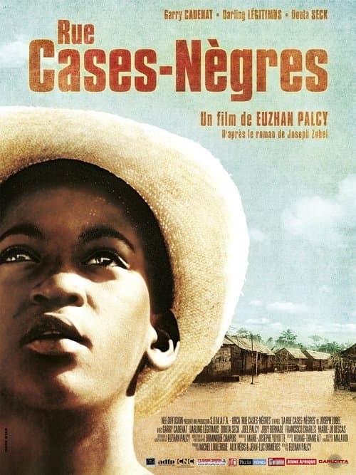 Director's Movie Image
