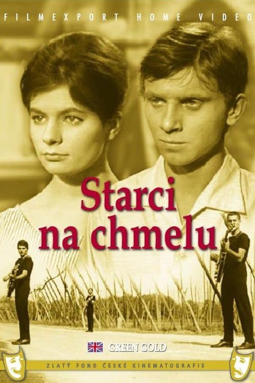 Director's Movie Image