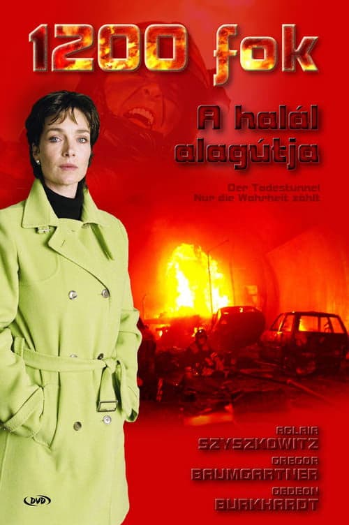 Director's Movie Image
