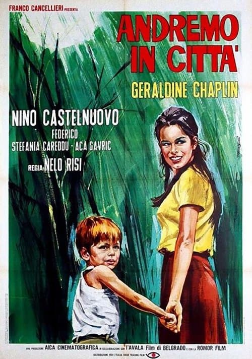 Director's Movie Image