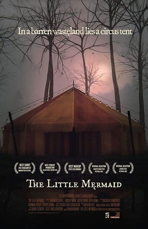 Director's Movie Image