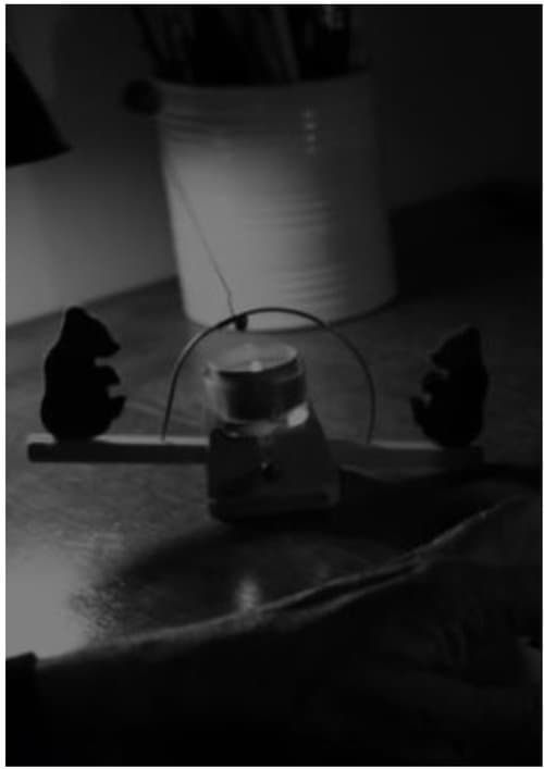 Director's Movie Image