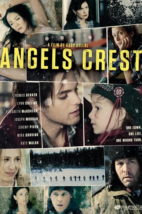 Director's Movie Image