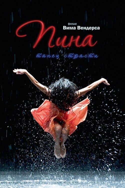 Director's Movie Image